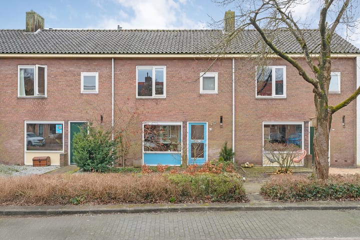 undefined main image