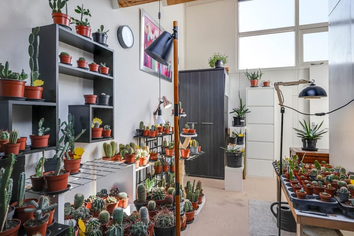 Foto 47 van Van Hogendorpstraat 7-C