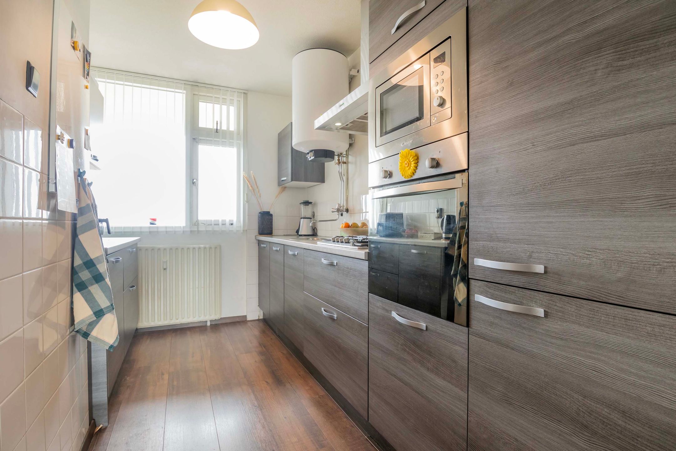 Foto 12 van Prins Willem-Alexanderpark 517