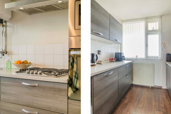 Foto 13 van Prins Willem-Alexanderpark 517