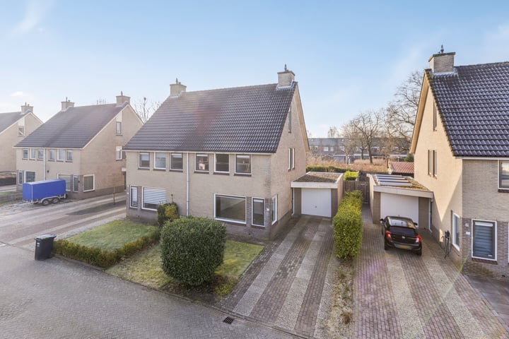 Bekijk foto van Tortelduif 66