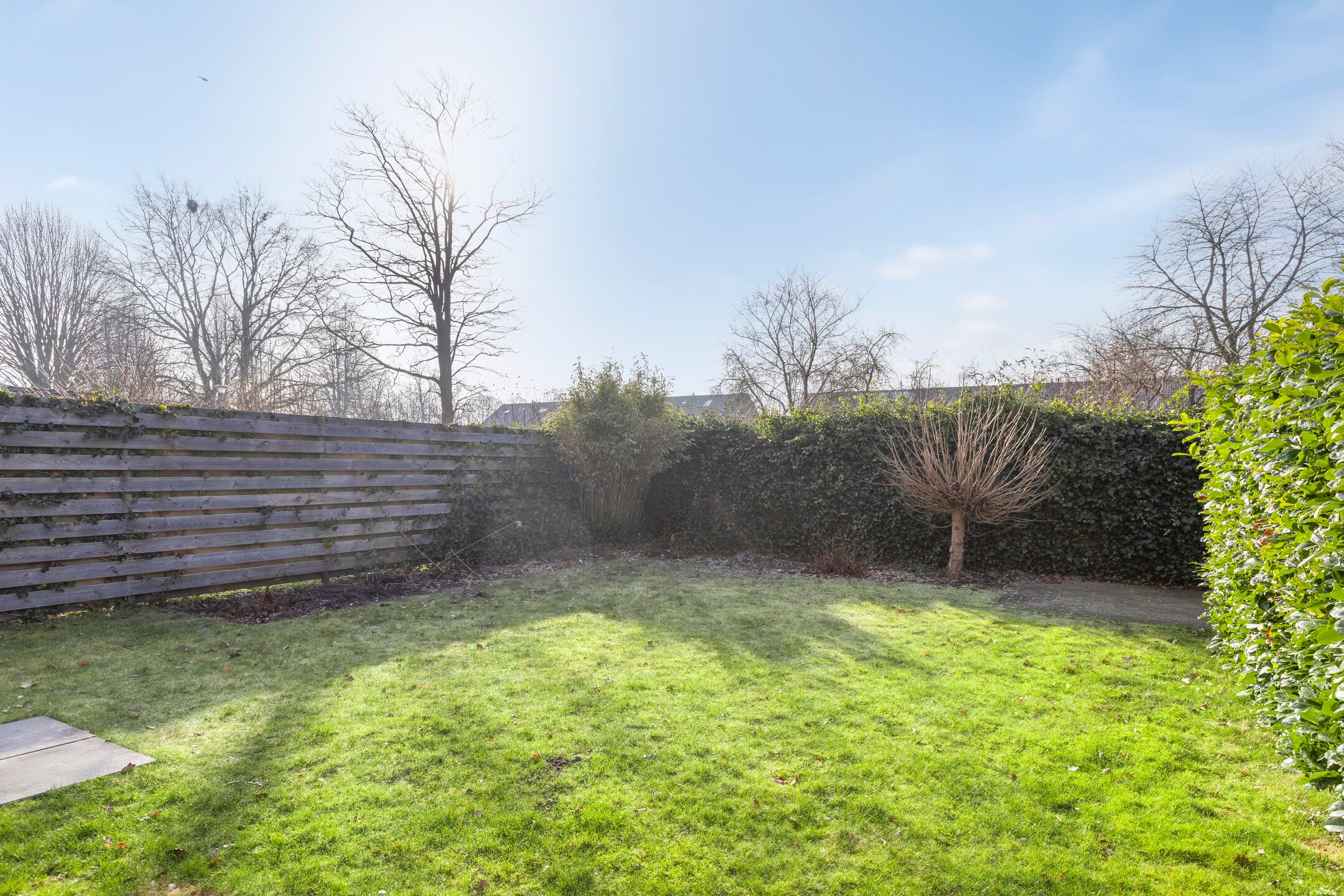 Foto 3 van Tortelduif 66