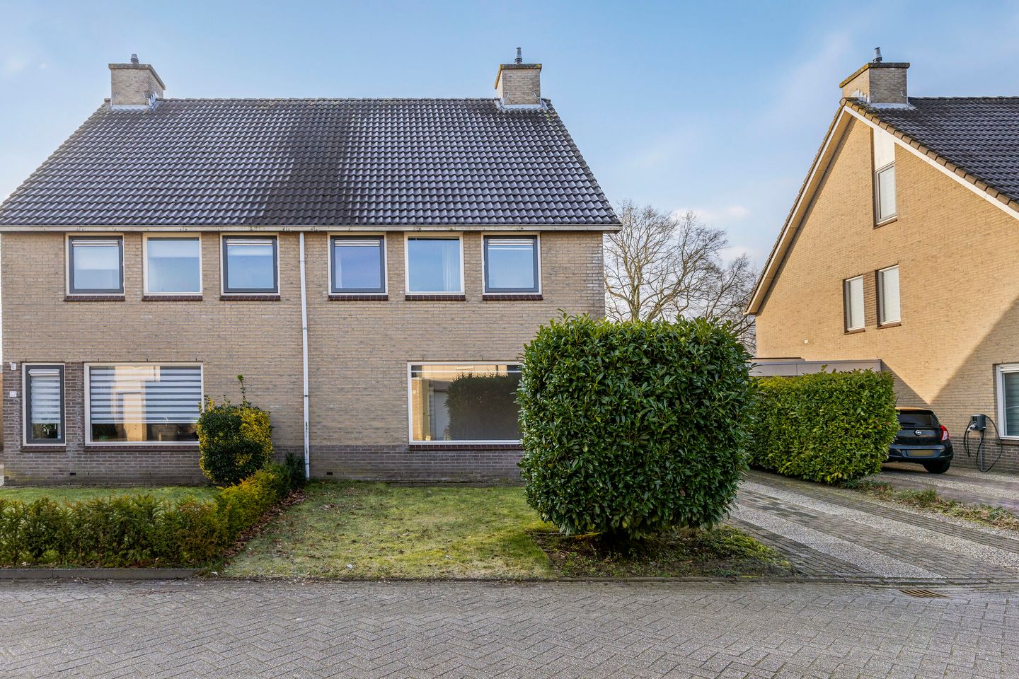 Foto 4 van Tortelduif 66