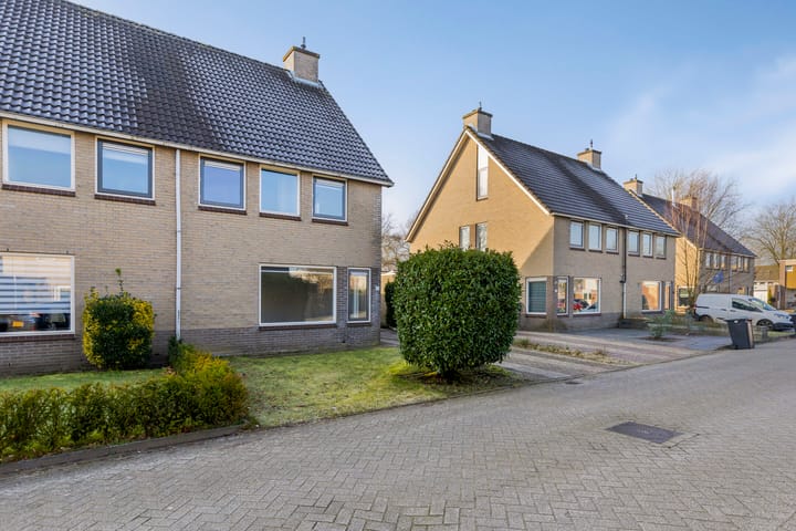 Foto 5 van Tortelduif 66