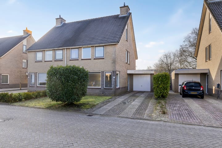 Foto 6 van Tortelduif 66