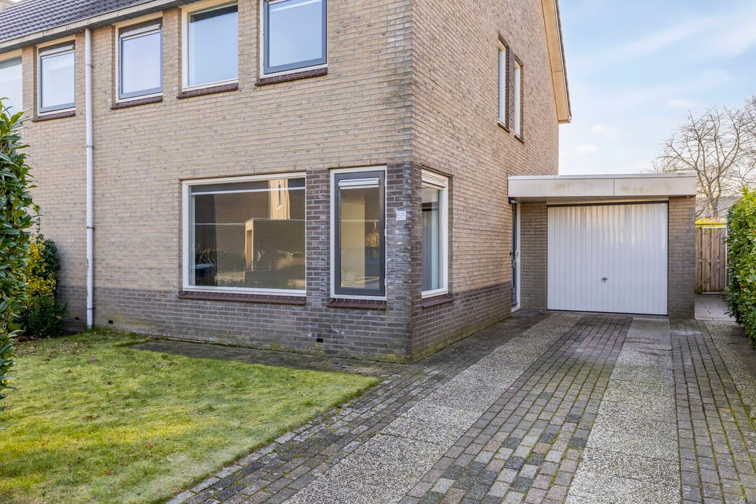 Foto 7 van Tortelduif 66