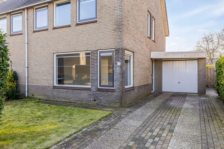 Foto 7 van Tortelduif 66