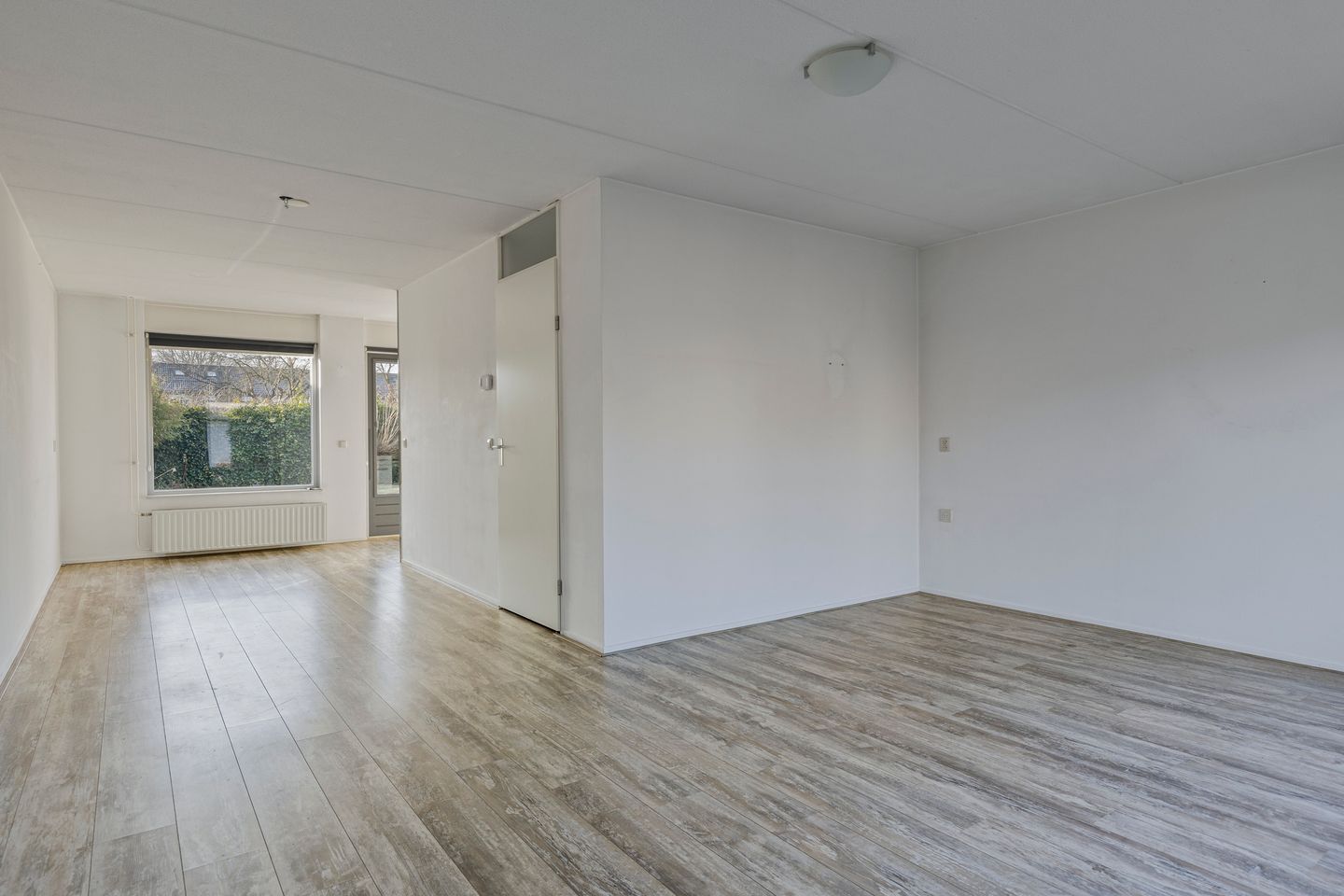 Foto 10 van Tortelduif 66