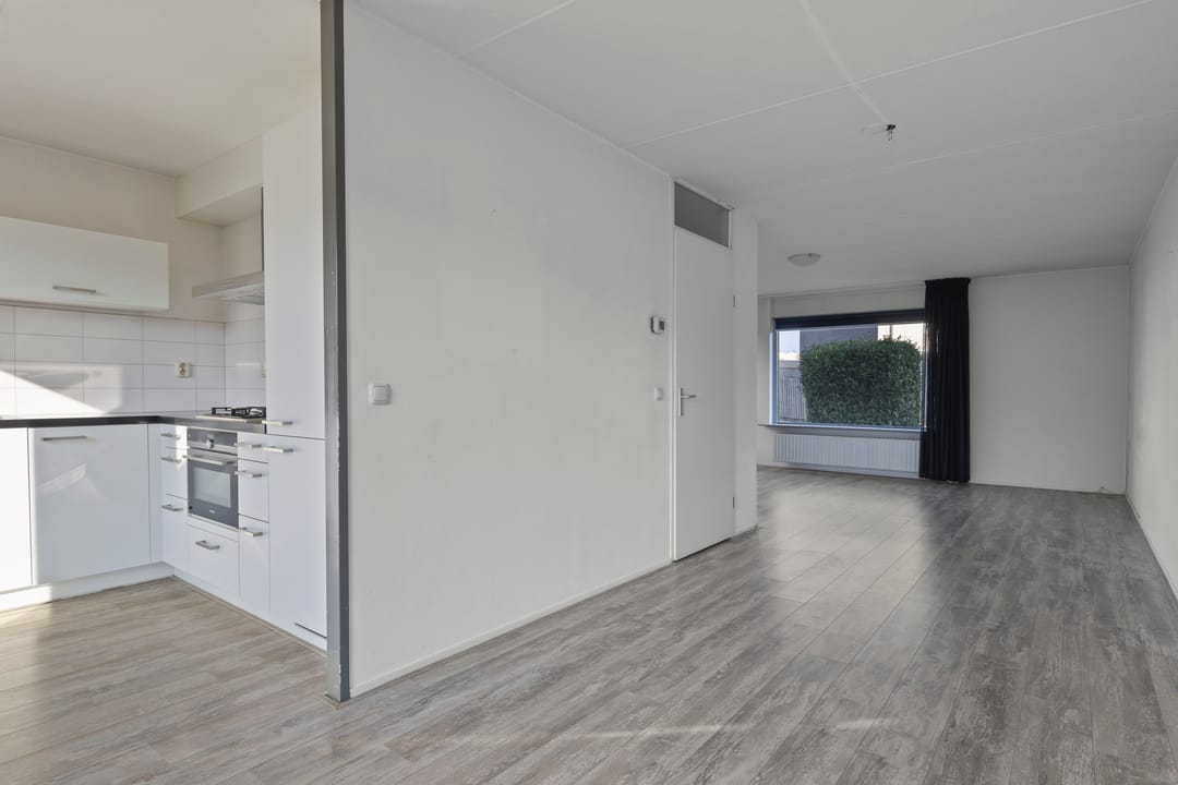 Foto 13 van Tortelduif 66