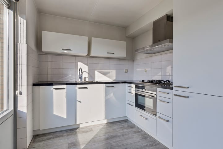 Foto 14 van Tortelduif 66