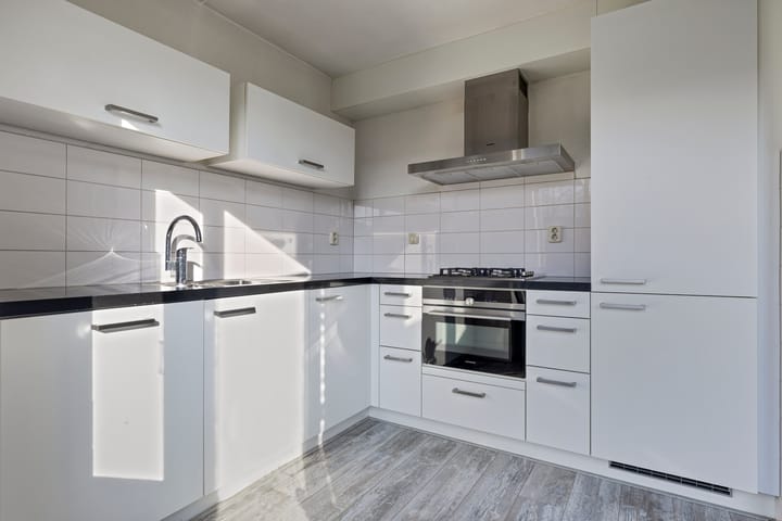 Foto 15 van Tortelduif 66