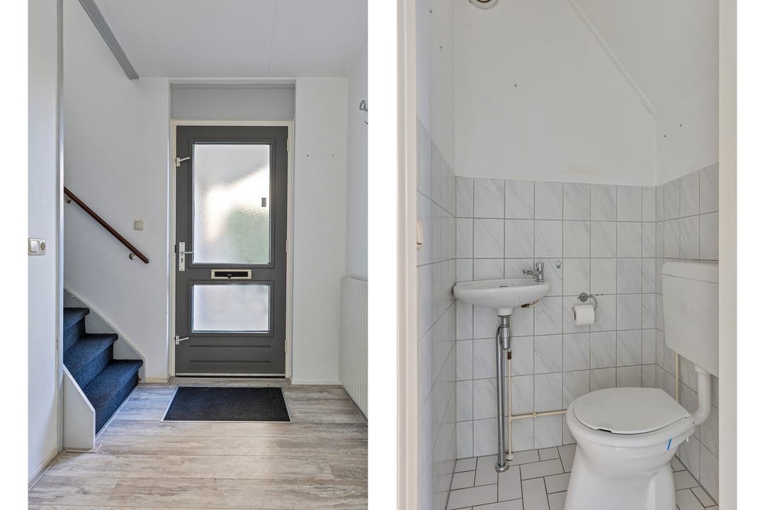 Foto 16 van Tortelduif 66