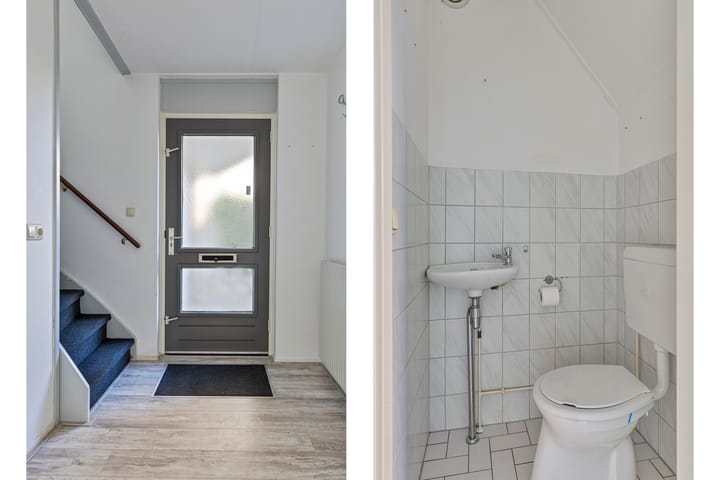 Foto 16 van Tortelduif 66