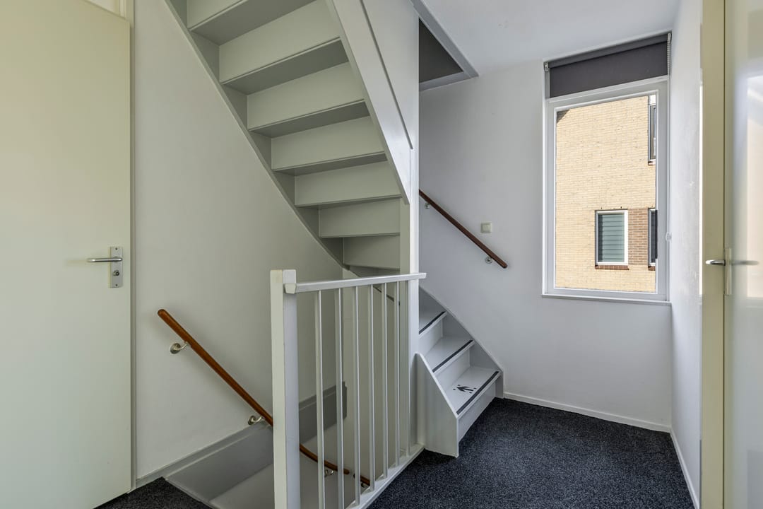 Foto 17 van Tortelduif 66