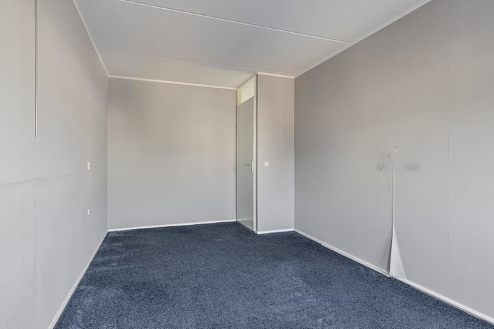 Foto 19 van Tortelduif 66