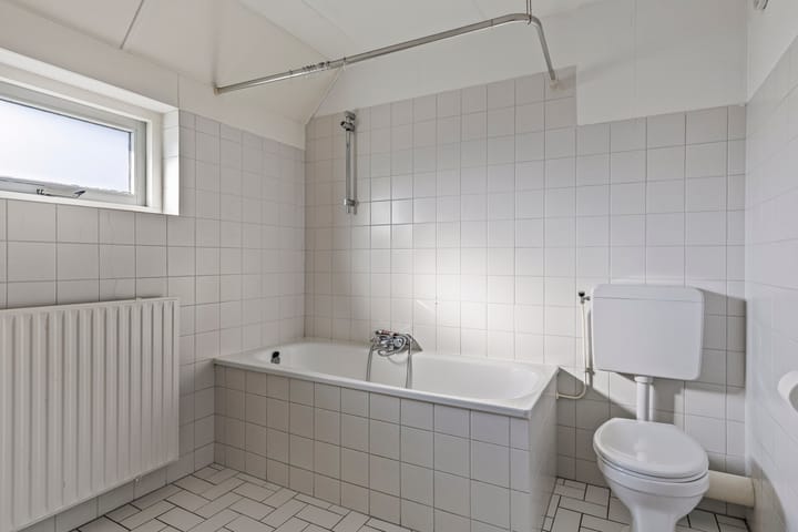 Foto 20 van Tortelduif 66