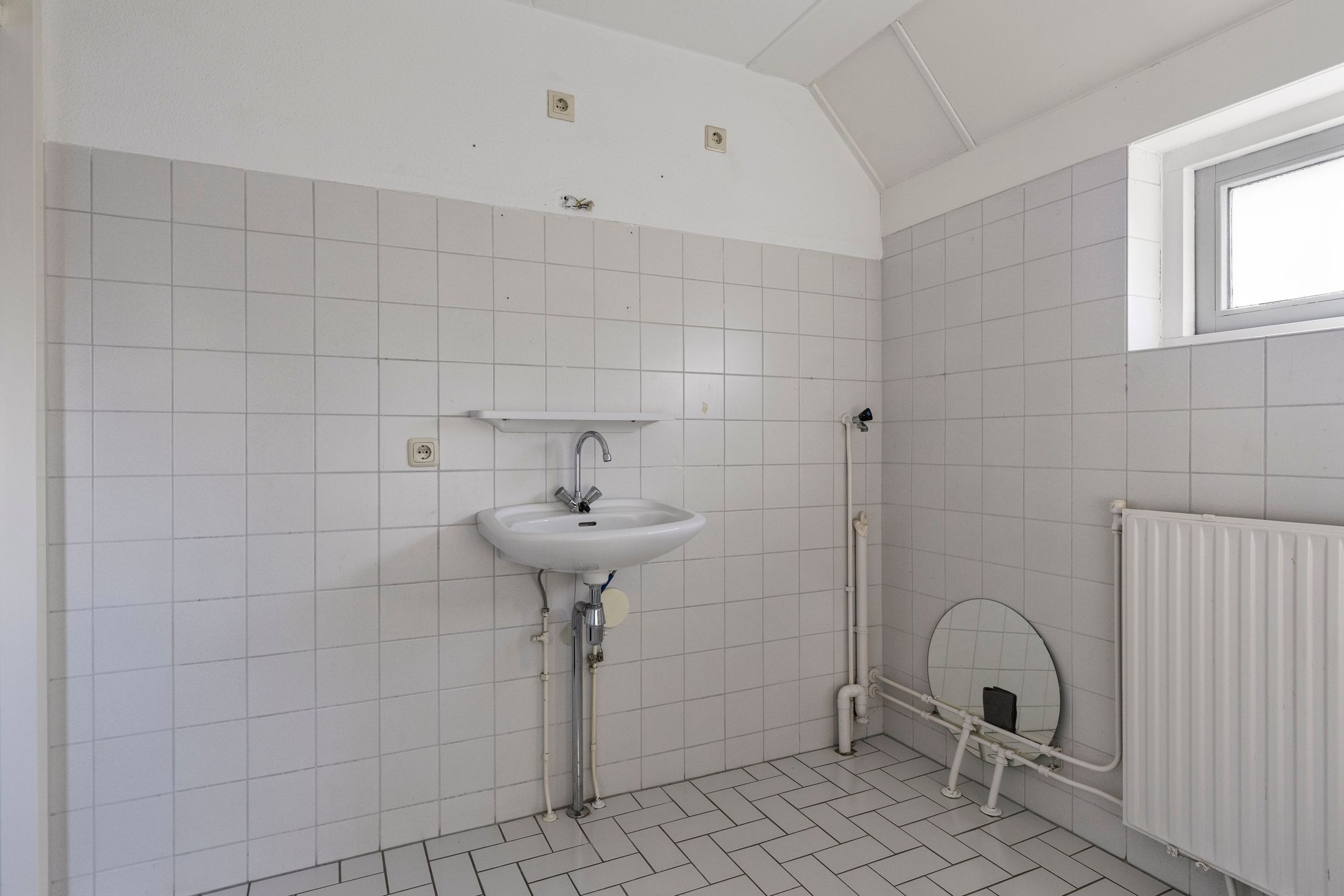 Foto 21 van Tortelduif 66