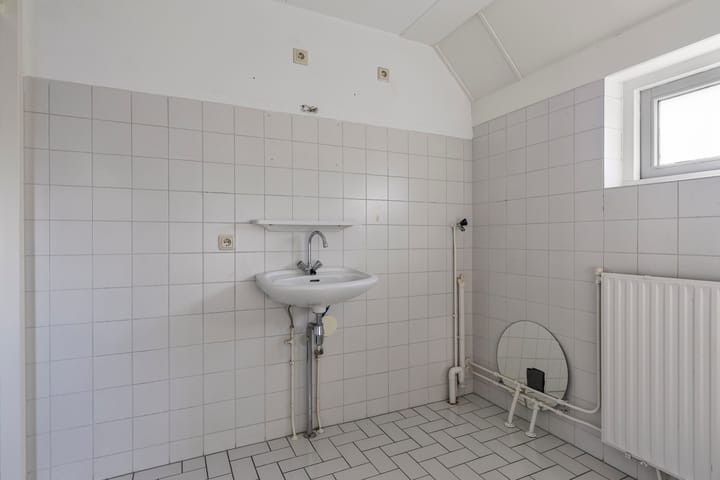 Foto 21 van Tortelduif 66