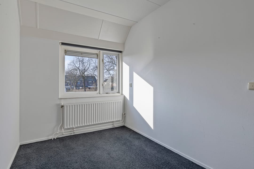 Foto 23 van Tortelduif 66