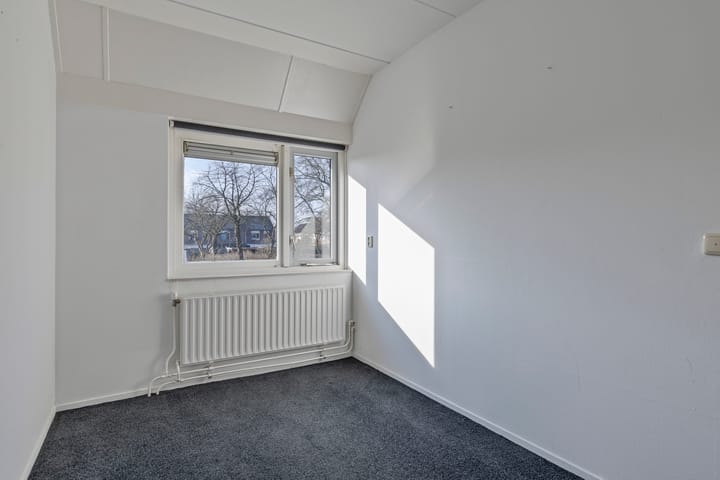 Foto 23 van Tortelduif 66