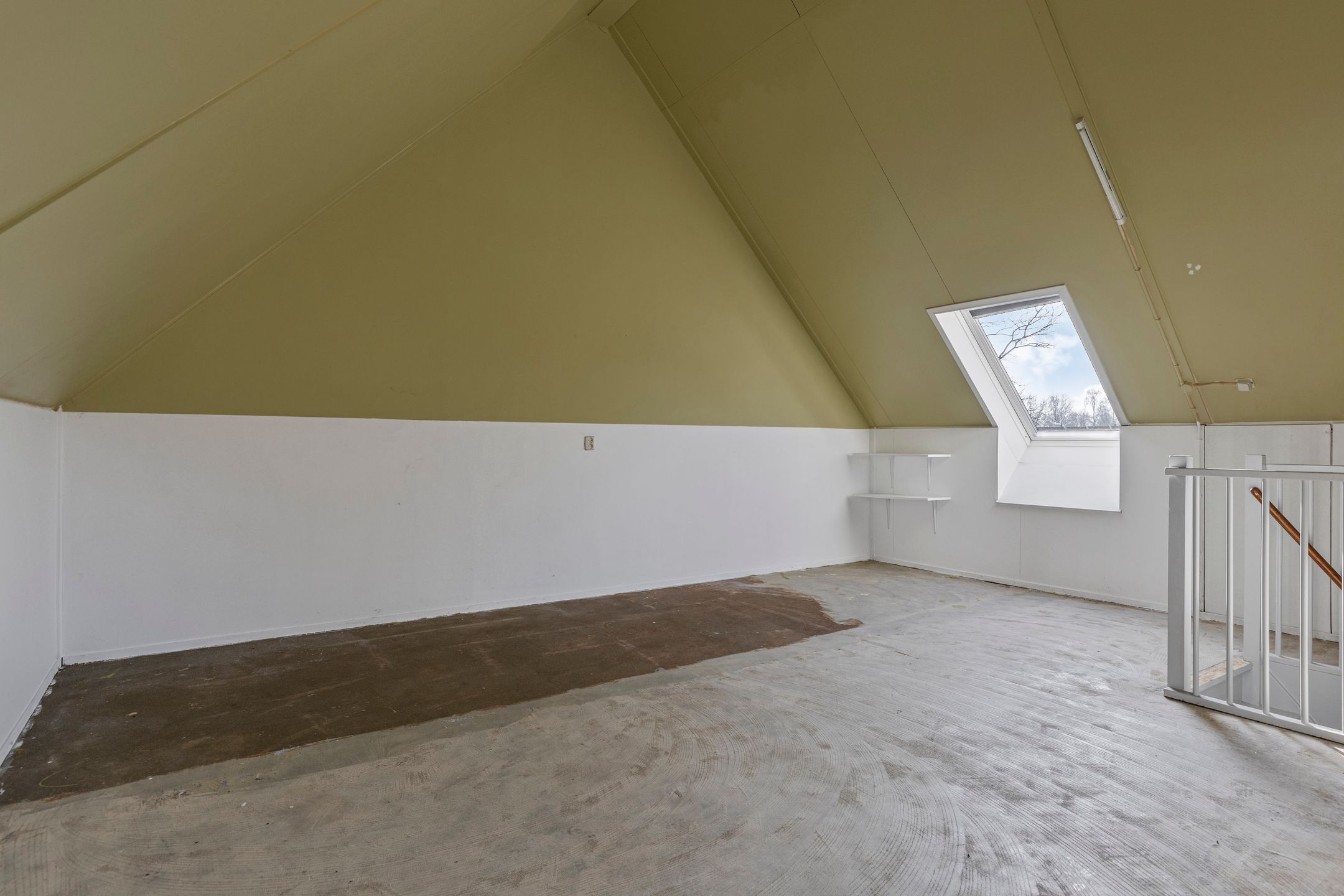 Foto 24 van Tortelduif 66