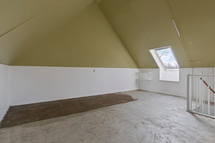 Foto 24 van Tortelduif 66