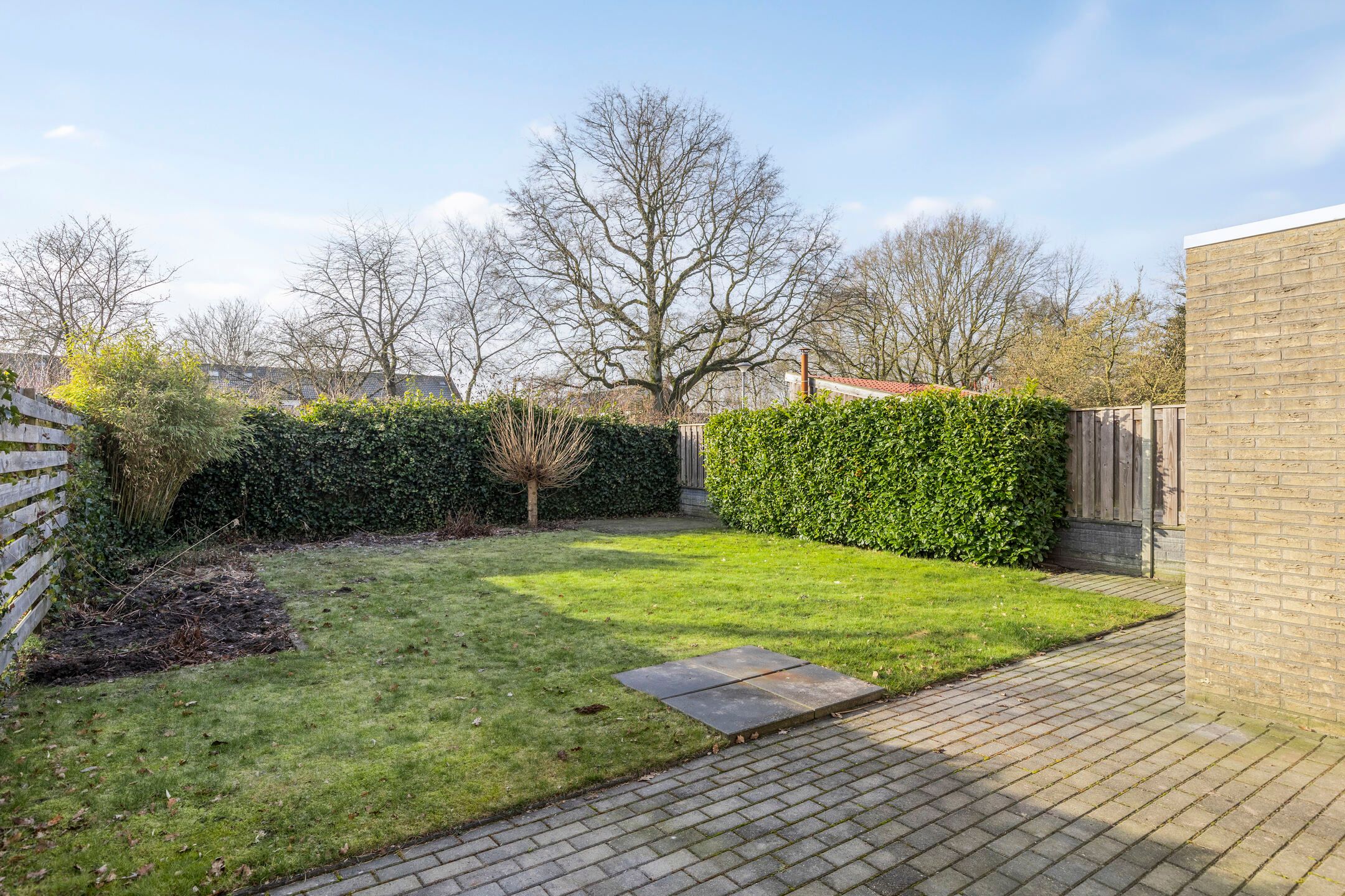 Foto 27 van Tortelduif 66