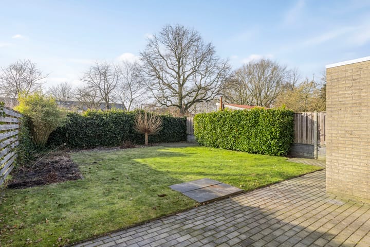 Foto 27 van Tortelduif 66