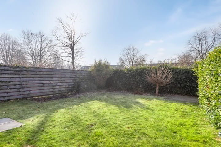 Foto 28 van Tortelduif 66