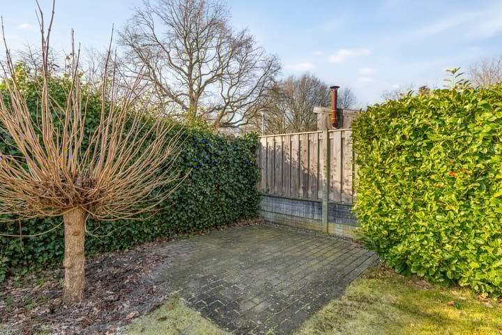 Foto 29 van Tortelduif 66