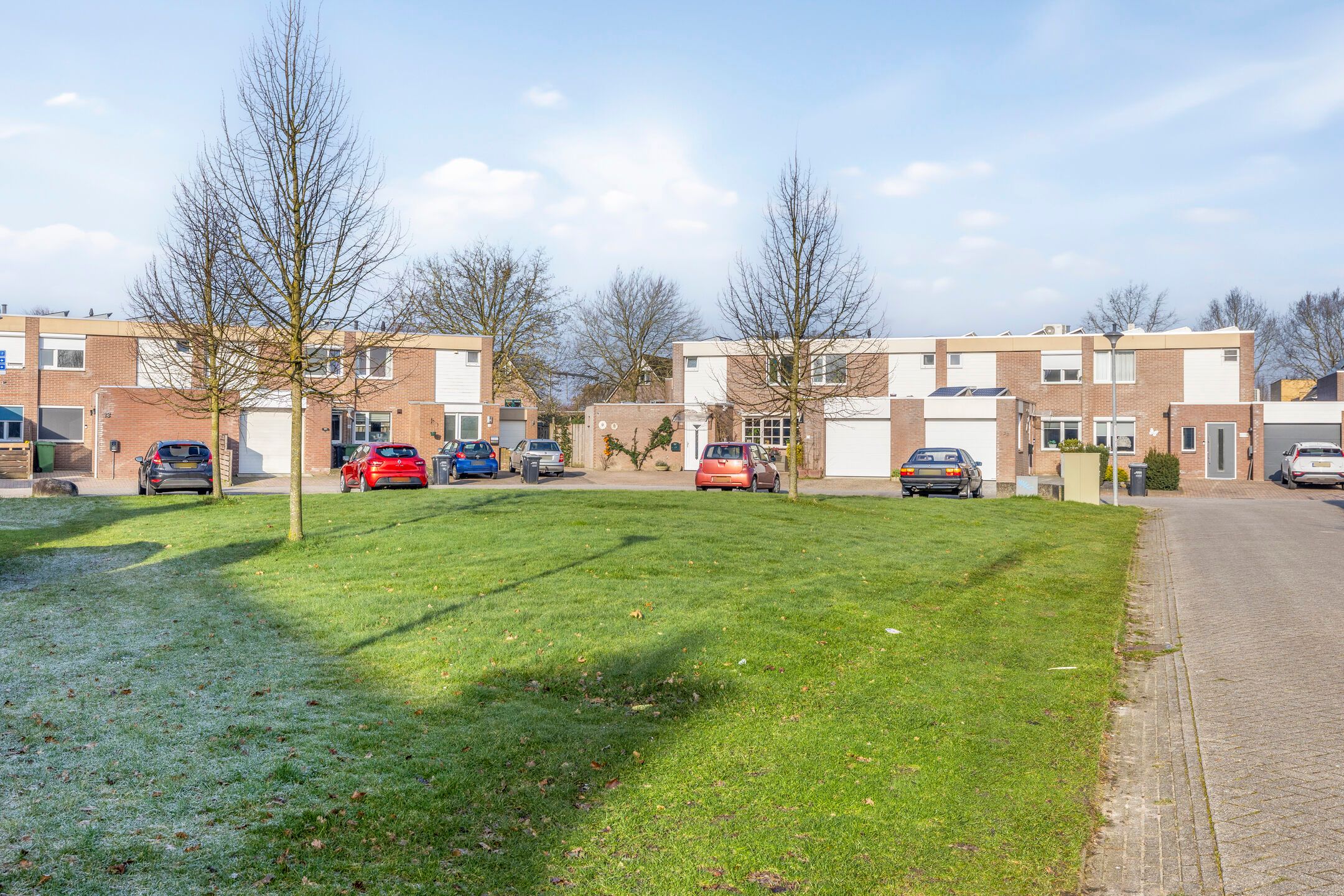 Foto 30 van Tortelduif 66