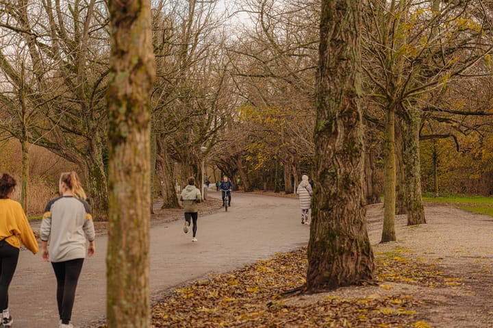 Foto 20 van Koninginneweg 8-1