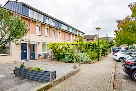 undefined main image