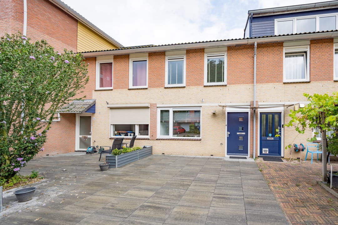 Foto 2 van Parnaskruid 14