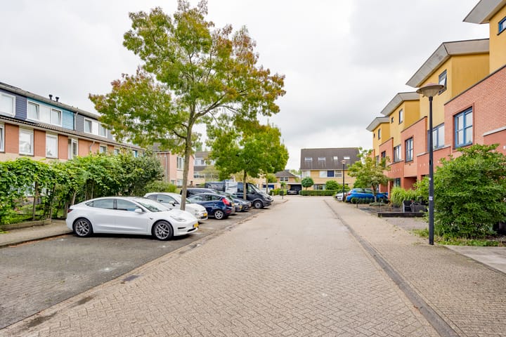 Foto 3 van Parnaskruid 14