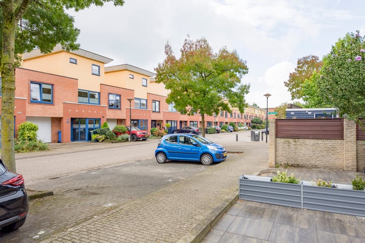 Foto 4 van Parnaskruid 14