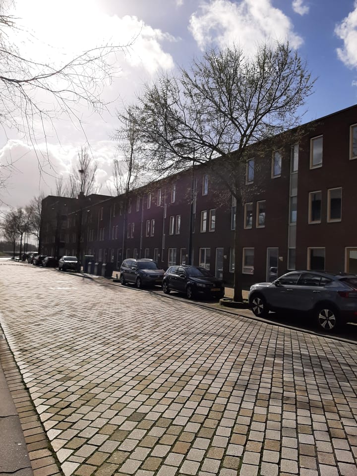 Foto 2 van Marius Meijboomstraat 46