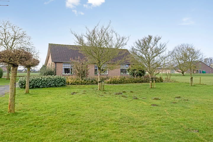 Foto 10 van Aamsepad 4