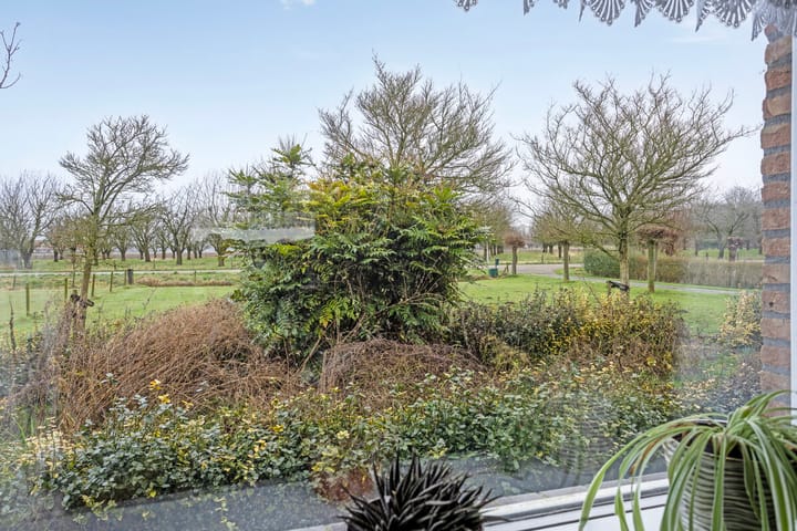 Foto 19 van Aamsepad 4