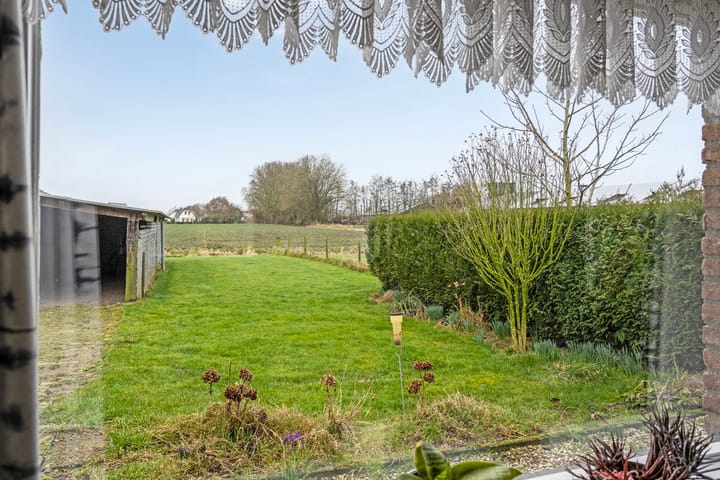 Foto 22 van Aamsepad 4