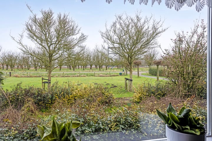 Foto 30 van Aamsepad 4