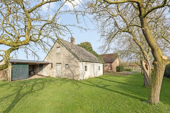 Foto 63 van Aamsepad 4