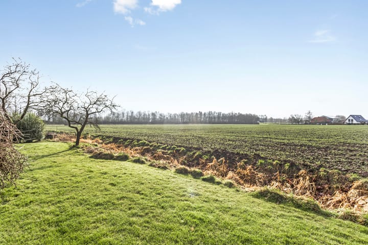 Foto 64 van Aamsepad 4