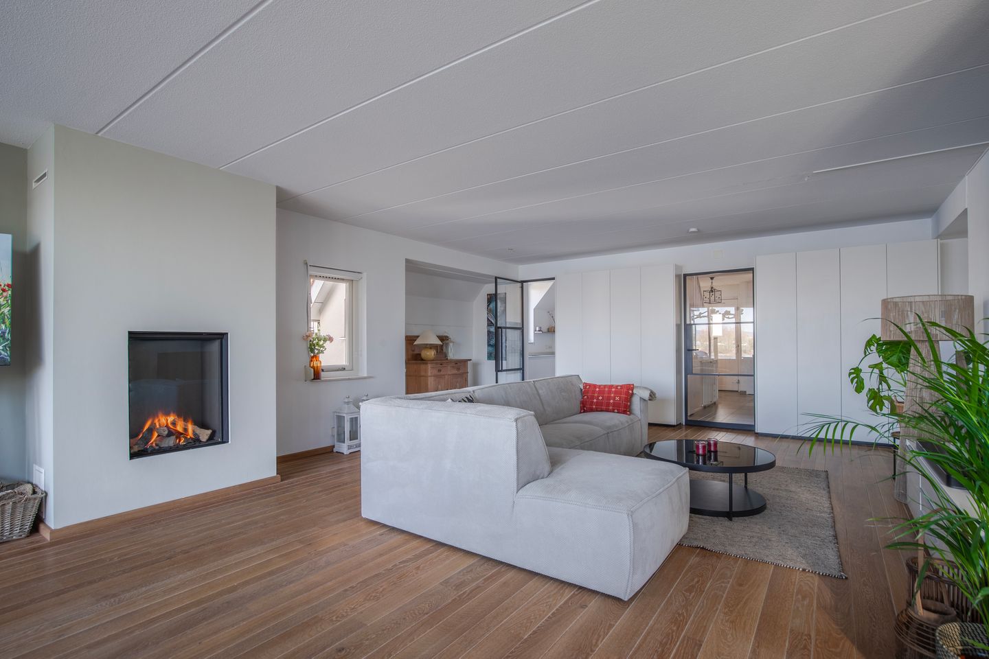 Foto 10 van Meerkoet 15