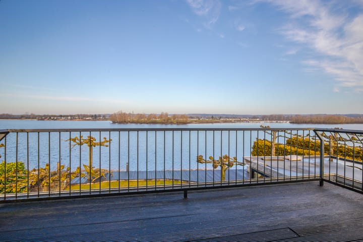 Foto 28 van Meerkoet 15