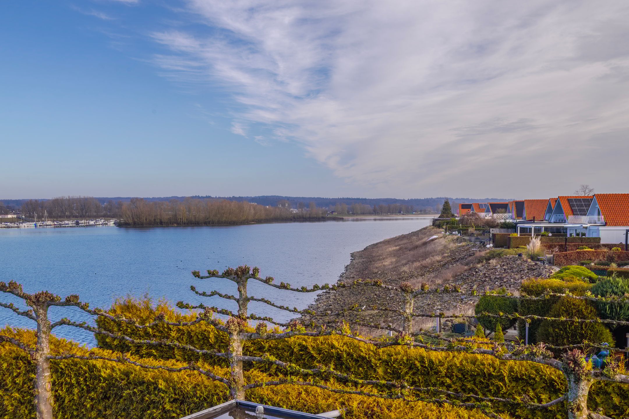 Foto 30 van Meerkoet 15