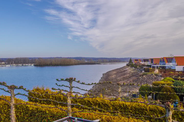 Foto 30 van Meerkoet 15