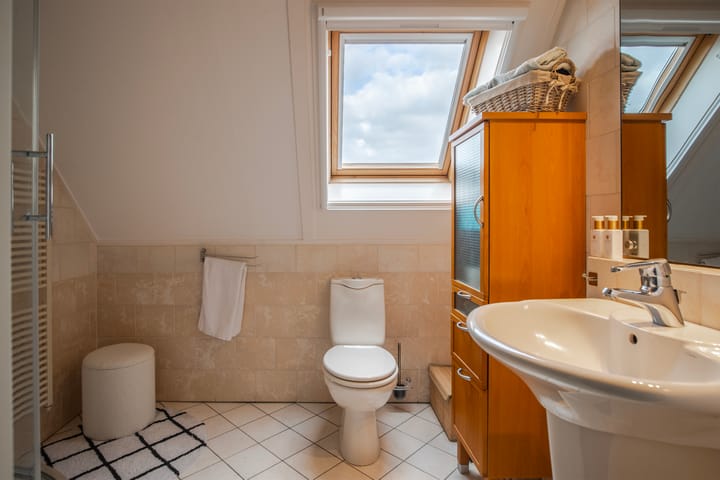 Foto 35 van Meerkoet 15