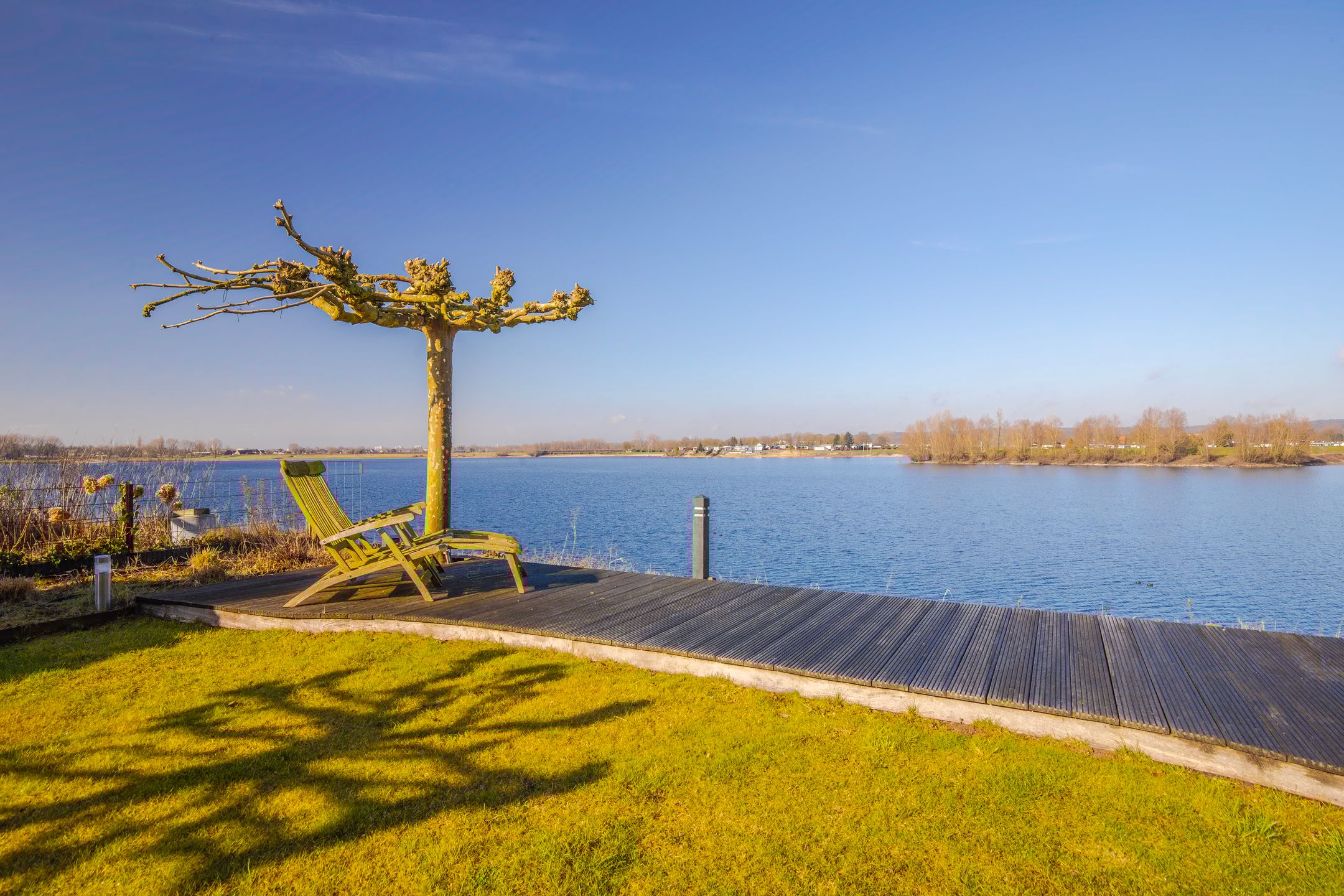 Foto 42 van Meerkoet 15