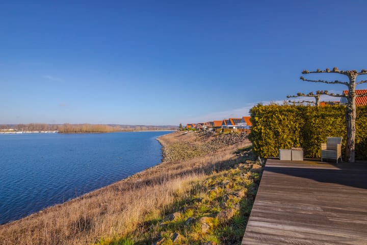 Foto 43 van Meerkoet 15